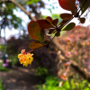 iPhone Fundamentals + Editing Bundle